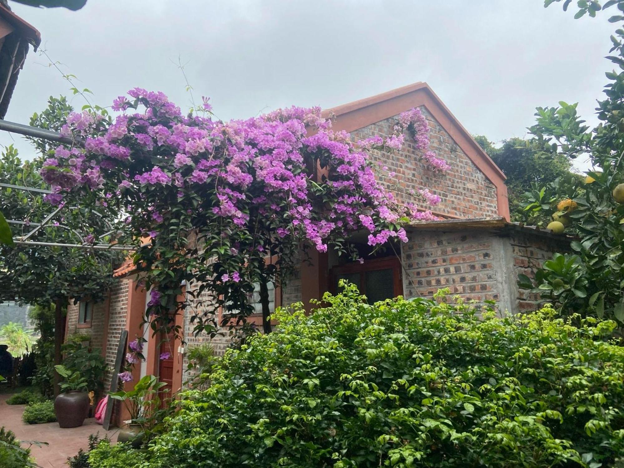 Tam Coc Mountain View Homestay Ninh Binh Exterior photo