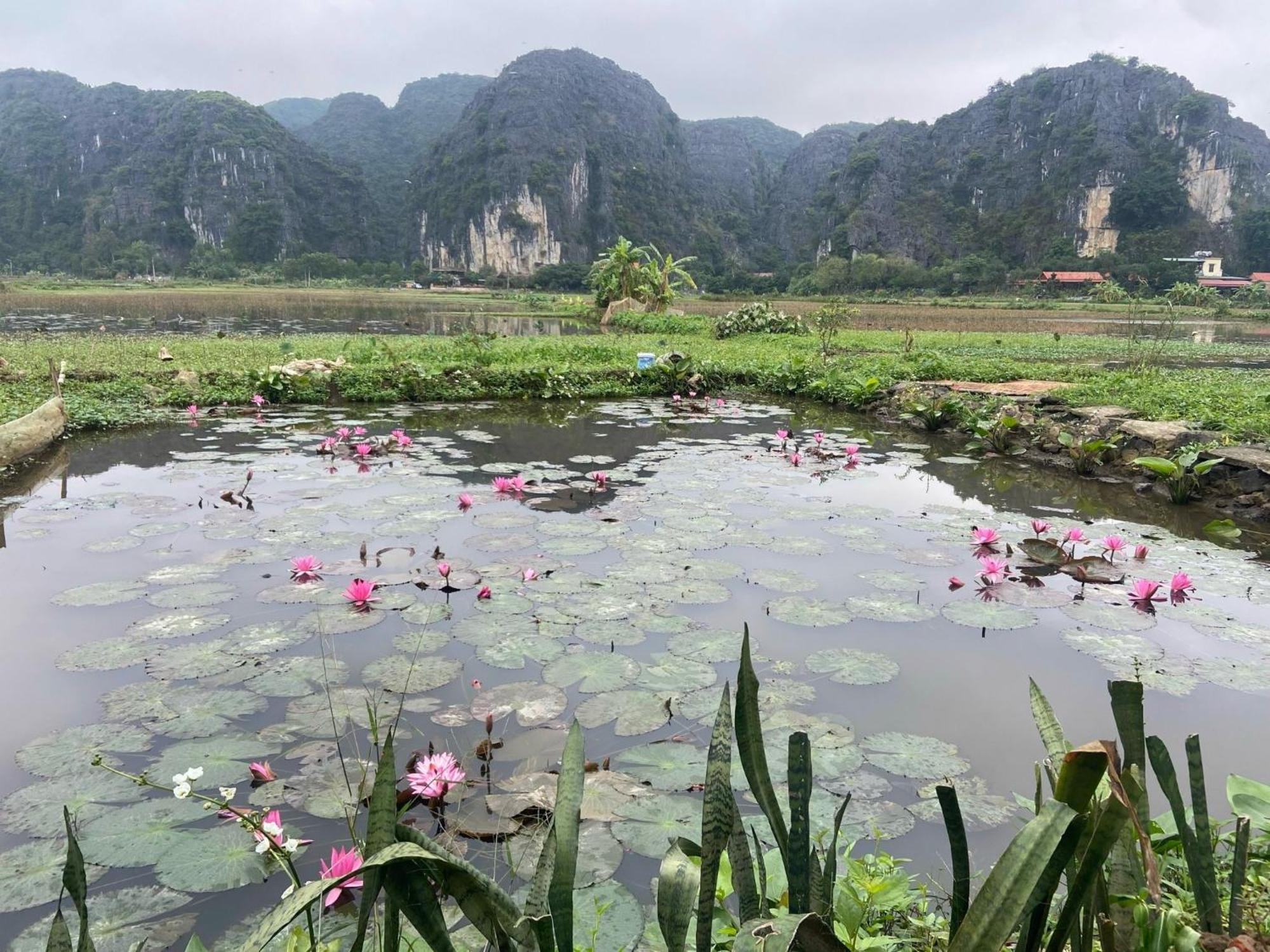 Tam Coc Mountain View Homestay Ninh Binh Exterior photo