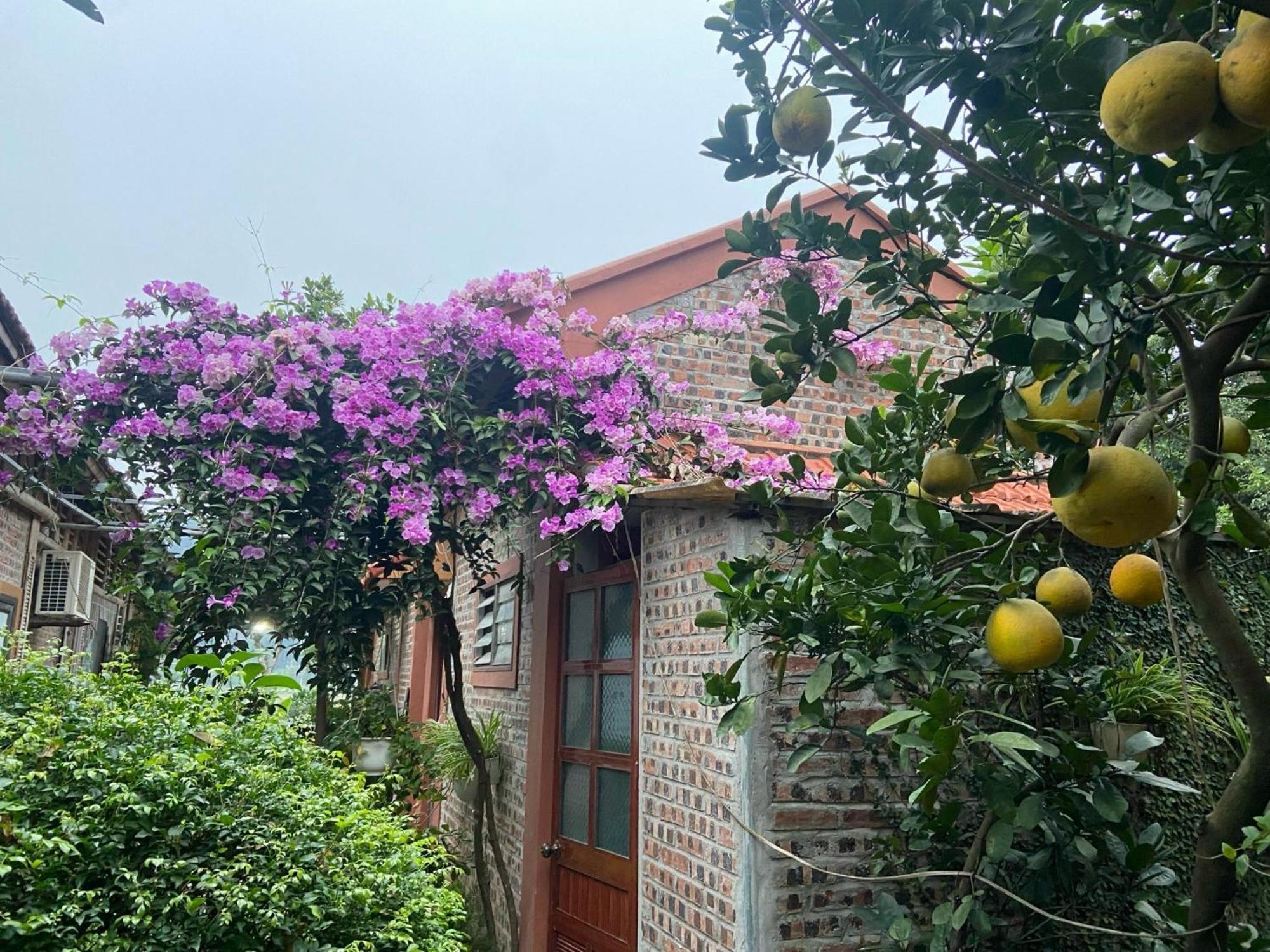 Tam Coc Mountain View Homestay Ninh Binh Exterior photo