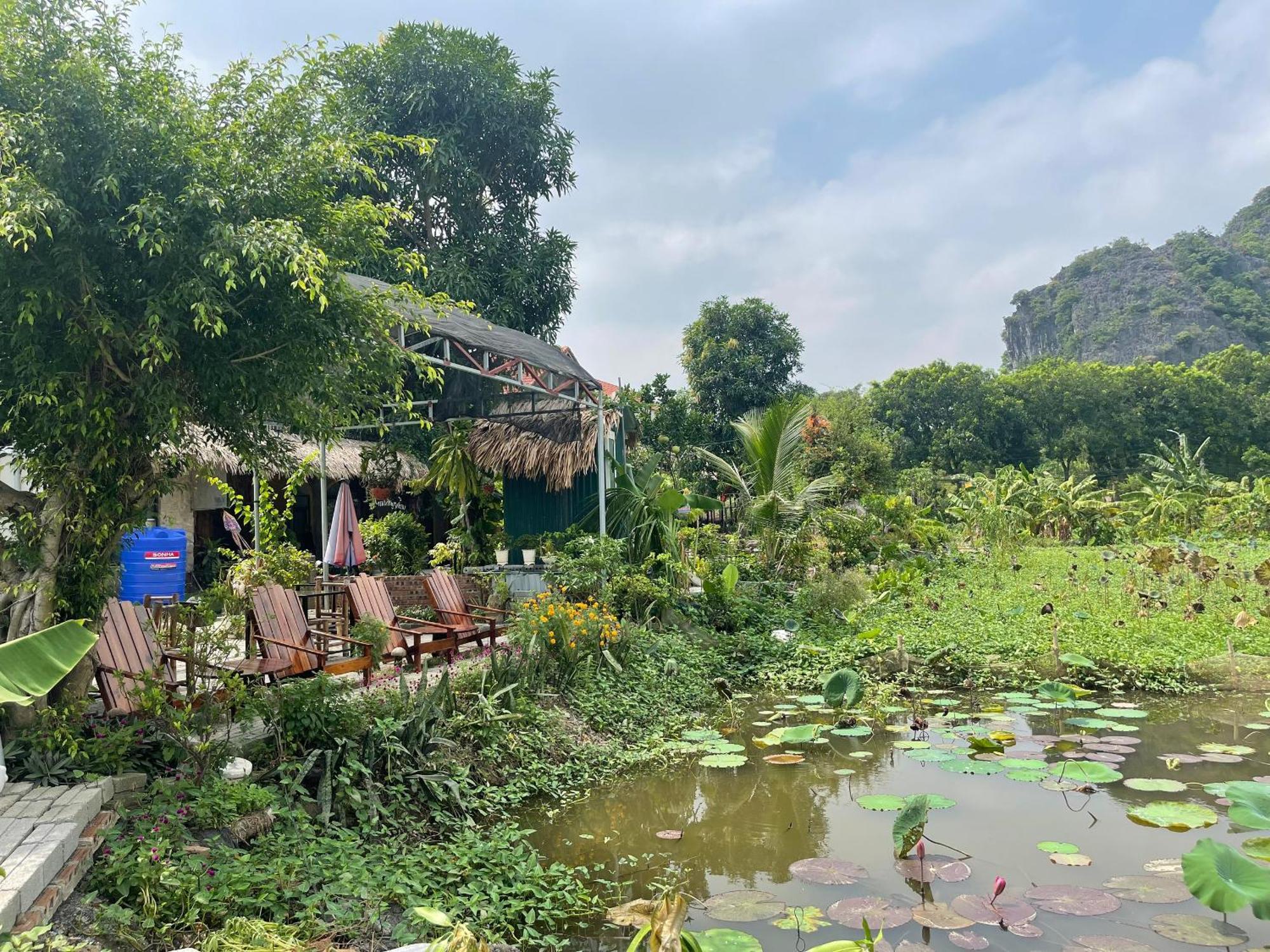 Tam Coc Mountain View Homestay Ninh Binh Exterior photo