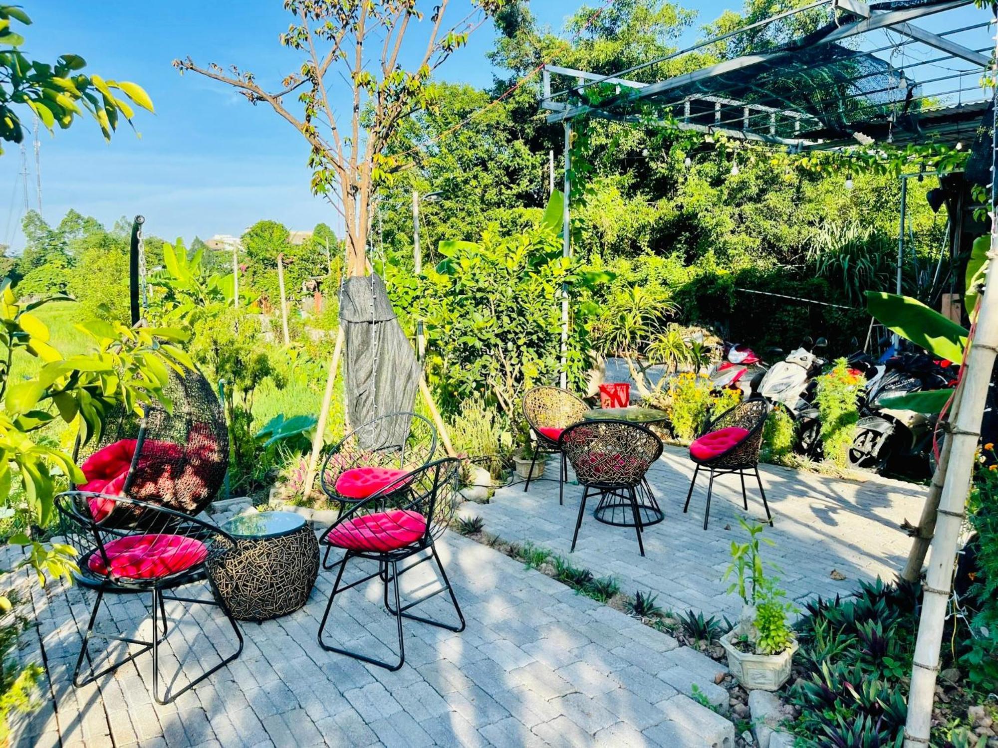 Tam Coc Mountain View Homestay Ninh Binh Exterior photo